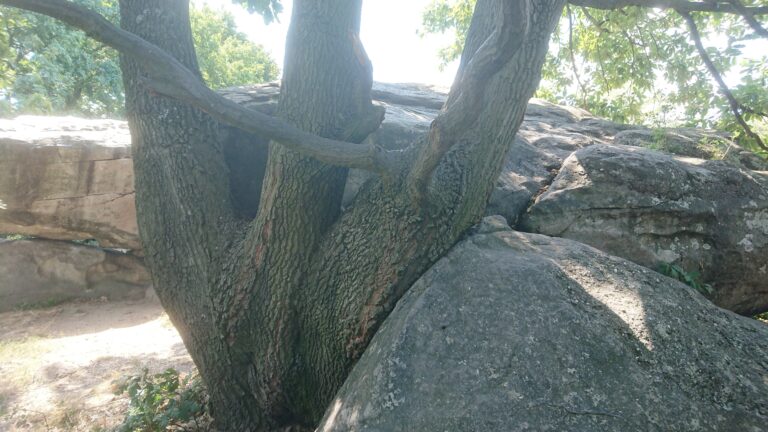 Szentbékkála, Kőtenger